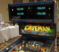 Caveman-playfield.jpg
